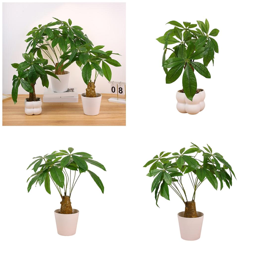 Realistisk Bonsai Tre Plante Dekorasjon Kunstig Penger Tre Potteplante for Kontorpult Stue Kjøkken Benkeplate