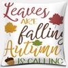 Pumpkin Halloween Thanksgiving Printing Series Pattern Pillowcase Square Pillowcase Home Office Decoration Pillowcase