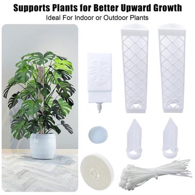 Postes de Musgo Auto-Riegantes para Plantas Trepadoras de Interior Kit de Estacas de Soporte para Plantas en Forma de D Estaca de Soporte Semitransparente para Monstera para Plantas de Interior