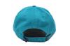 Seven Cap 47 CLEAN UP NBA Eastern Conference Charlotte Hornets Charlotte Hornets [Forty Brand]
