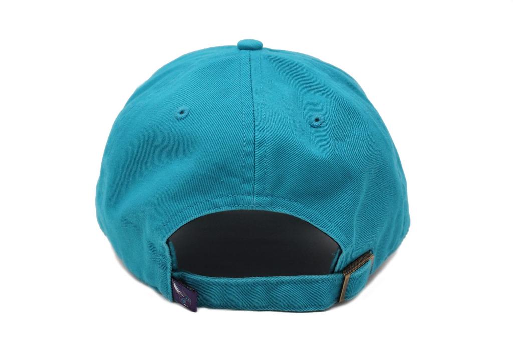 Seven Cap 47 CLEAN UP NBA Eastern Conference Charlotte Hornets Charlotte Hornets [Forty Brand]
