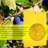 50x Klebefalle Fruchtfliegen Fliegenfalle Insekt Gelbe Klebefallen Klebefliegenpapier