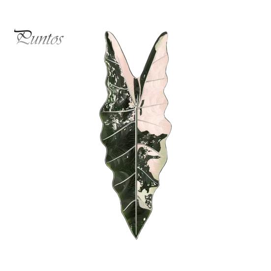 Tropical Plant Refrigerator Magnets 3D Plants Magnet, Acrylic Green Decorative Fridge Home Decor Memo Notes Photo Holder for Kitchen Office