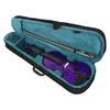 4/4 Solid Wood Beginner Violin Set for Adults and Children