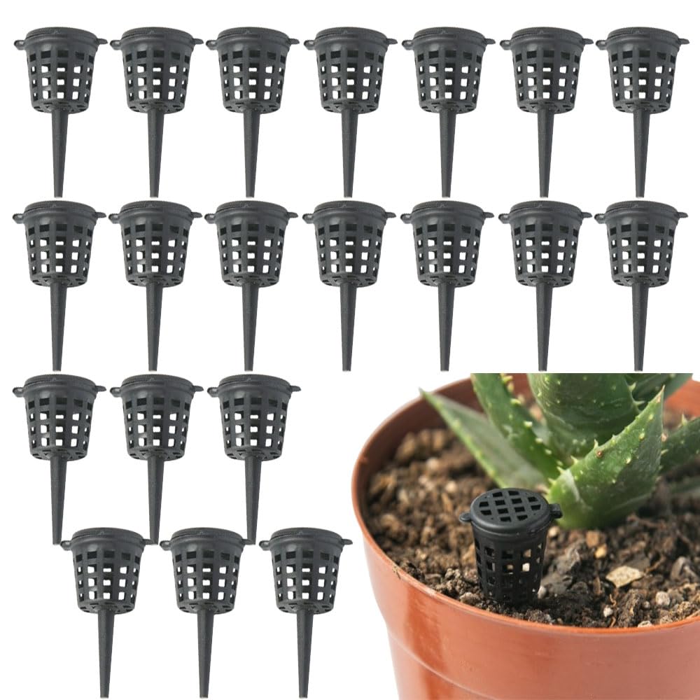 

Set of 20 Fertilizer Fertilizer Gardening Fertilizer Cultivation Fertilizer For Planting When Approximately For Bonsai Containers, Boxes, Tools,
