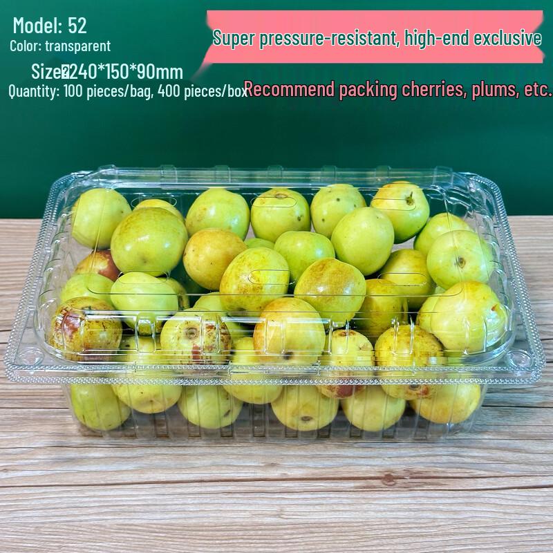 Shixun Disposable Transparent Fruit Containers