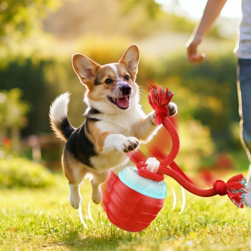 Rechargeable Canine Entertainment Toy Variable Rolled Speed and Sound Effect to Relieve Boredom and Anxiety