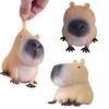 SESHIS Capybara Quetschspielzeug Stressabbau Entspannung Spaß Neuheit Artikel von - Spielzeug, Spielzeug, (Satz 3)