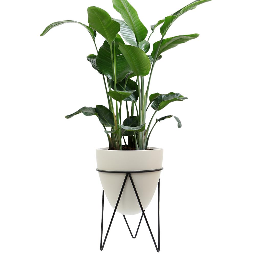 Smart Plant Pots Indoor with Automatic Water Shortage Alarm Battery Operated Geometric Aesthetic