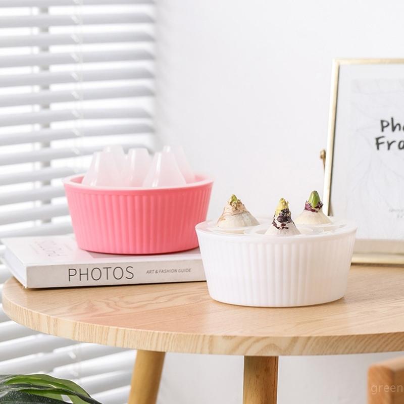 Special Hydroponic Flowerpot Hyacinth Narcissus Tulip Bulbs Seeds 3/5 Holes Lazy Flowerpot Water Planting Pot Desktop Decoration