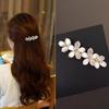 Elegant Flower Hair Clips, Horizontal Bangs Clips, Spring Hairpins, And Half-Up Hair Additions for Ponytails