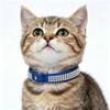 Crystal Diamond Rhinestone Pet Collar PU Leather Sparkling Cat Collar  for Pet Supplies