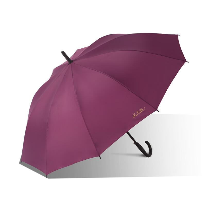 TianTang 193E Automatic Business Umbrella