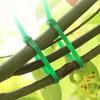 100Pcs Reusable Plant Cable Ties Plant Stem Clip  For Plants Vine Shrubs Support Fastener Organizer