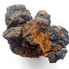 Blocos de Cogumelo Chaga 50g Chá de Ervas para Energia Bem-Estar Suporte