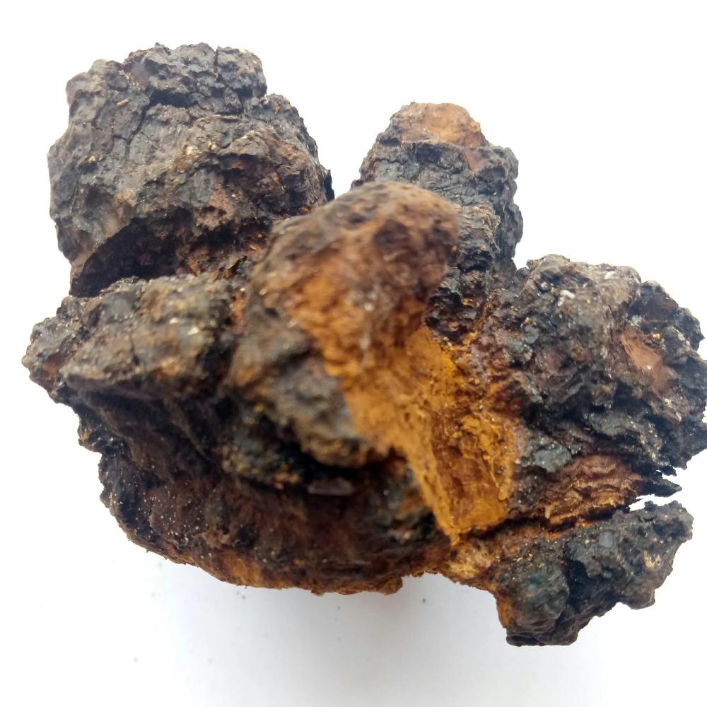 Chaga Mushroom Blocks 50g Herbal Tea for Energy Wellness Support 01