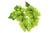 Speed Mao Realistic Muscat Grape Food Sample Model of (Set 2)