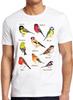 British Garden Birds Meme Funny Vintage Style Cult Funny Gift Tee T Shirt 6010