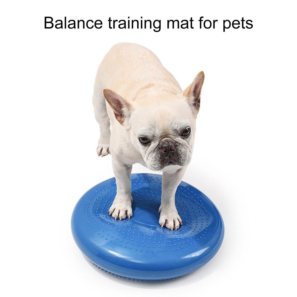 Poduszka równoważna Trener dla Psa Wiggle Tool Interaktywna Zabawka Treningowa na Stabilność Elastyczność Koordynację
