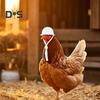 Chicken Helmet Pet Safety Poultry Sun Rain Protection Hat with Adjustable Elastic Band Prevents Injuries Funny Bird Hat Headwear Hens Helmet