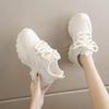 Dad Shoes Girl 2025 New Student Breathable Mesh Shoes Korean Edition Trendy Versatile Thick-soled Women's Shoes