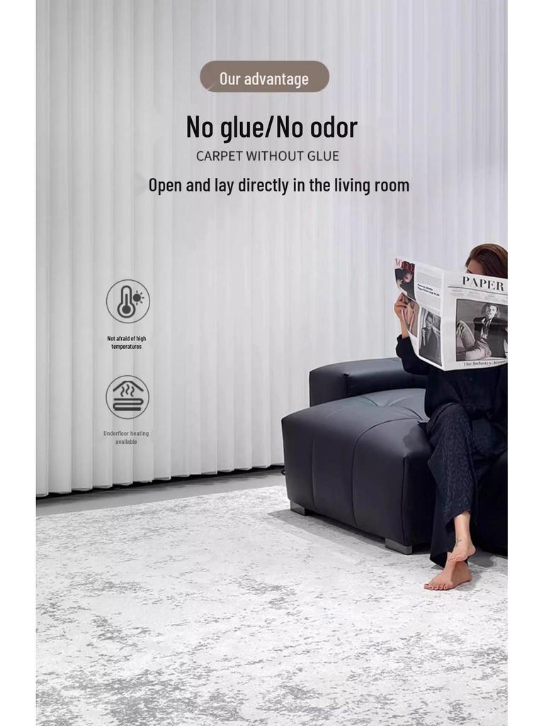 Waterproof Italian Luxury Minimalist Rug for Living Room, Bedroom, or Sofas