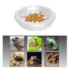 5pcs Pets Supplies Transparent Lizard Food Bowl Plastic Round Reptile Feeding Dish Reptile Terrarium Spider