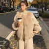 Mao Mao Vest Imitation Fur Vest Women's Short Korean Version Autumn and Winter New Imitation Fox Fur Imitation Tuscan Vest