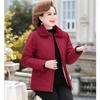 Autumn and Winter Small Cotton-padded Coat with Velvet Double-pocket Lapel Temperament Commuter Ladies Cotton-padded Coat