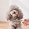 Pet Grooming Scissors Kit Stainless Steel Straight Thinning Shear Non‑jamming Trimming Tool for Dogs Cats