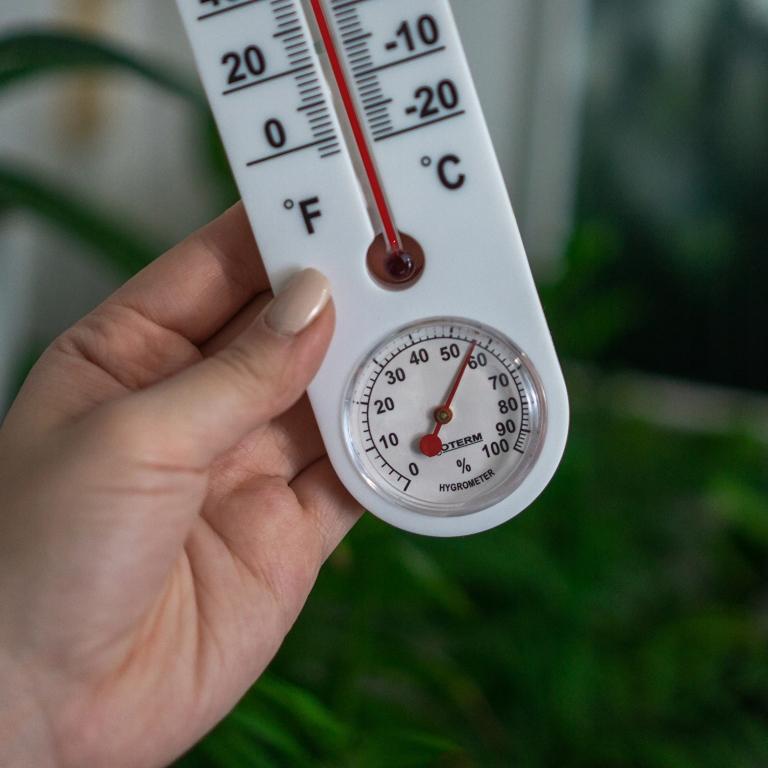 Indoor Thermometer with Hygrometer, White, 25 Cm