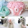 Pet Dog Diapers, Physiological Trousers, Hygienic Washable Bitch Underwear, Shorts, Menstrual Underwear, Bitch Underwear