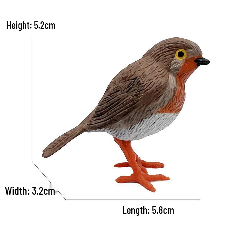 Eurasian Red-breasted Robin Small Bird Model - Children's Toy Ornament