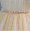 Baby Fluffy Summer Dress: Princess Skirt for Girls' Birthday, Banquet, or Performance.