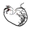 Engine Wiring Harness LS1?4L60E Professional Stand Alone Harness Replacement For CORVETTES