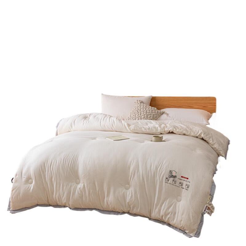 PLOVER Bubble Gauze Nine-Hole Fiber Winter Quilt