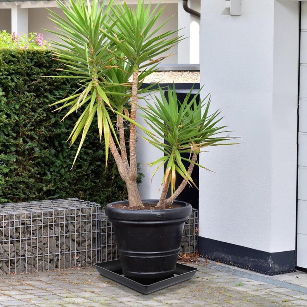 2 Stück Pflanzenuntersetzer Quadratisch Langlebig Blumentopf Innen Außen Robuste Schale Quadratischer Blumentopf Wasserschale Heimdekoration Für Gartenarbeit