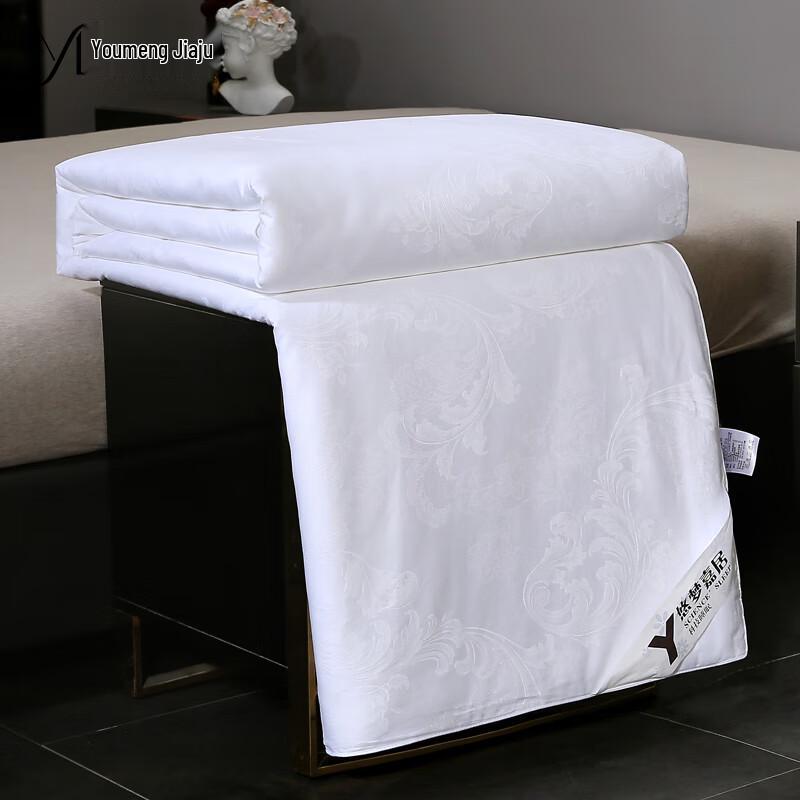 

Youmengjiaju Handmade Tussah Silk Winter Quilt