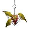 Oriole Bird Feeder Outdoor Hanging Orange Fruit Food Holder with Hook Weather-proof Outside Garden Metal Hummingbird Feeding Device