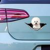 1pc Bichon Frise  Funny Car Sticker, Cute Dog In the Hole Creative Design Sticker, Suitable for Cars, Trucks, Motorcycles, Walls