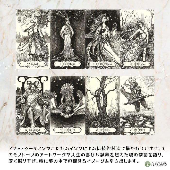 Tarot of the Abyss Tarot Reading Instructions Instruction Manual Authentic Tarot Cards (Japanese Included) (78 Cards)