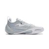 Li Ning Wade All City 14 Professional Competition Basketball Shoes Men Sneakers Micro-Crystal-Gray ABAW001-8