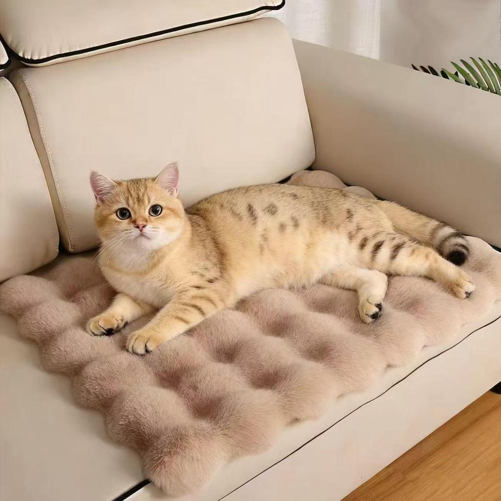 Cozy Plush Cat & Dog Nest: Thickened Autumn/Winter Mat for Warm Sleeping