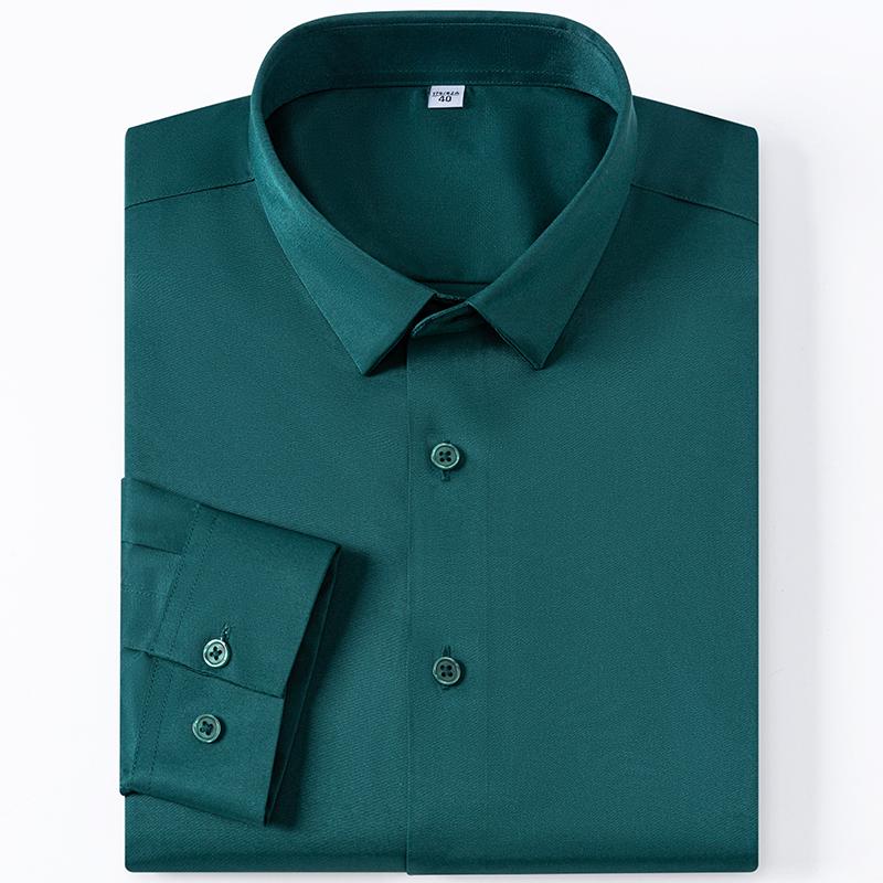 Men's High-End Stretch Non-Ironing Seamless Shirt Long Sleeve Spring and Autumn Youth Business Casual Shirt