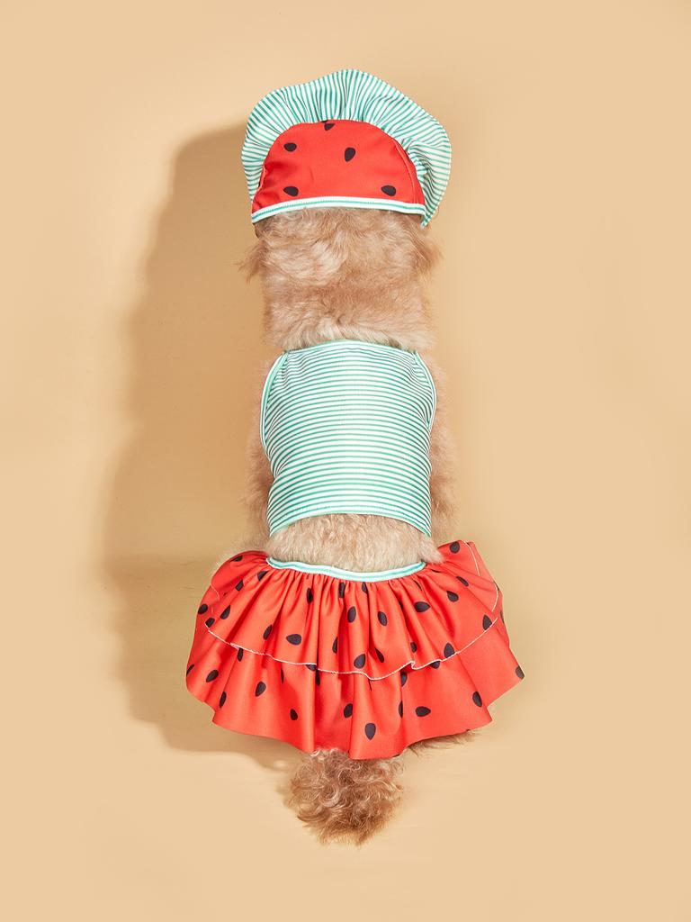 Dog Dress for Small Dogs Cool Costume Striped Puppy with  Doggie Pet Clothes Cool Watermelon Apparel for Dogs Cats  Summer