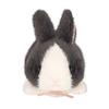 Sanei Boeki Chimoshire Rabbits Dutch (Crawling) W9×D14×H11cm Plush Toy