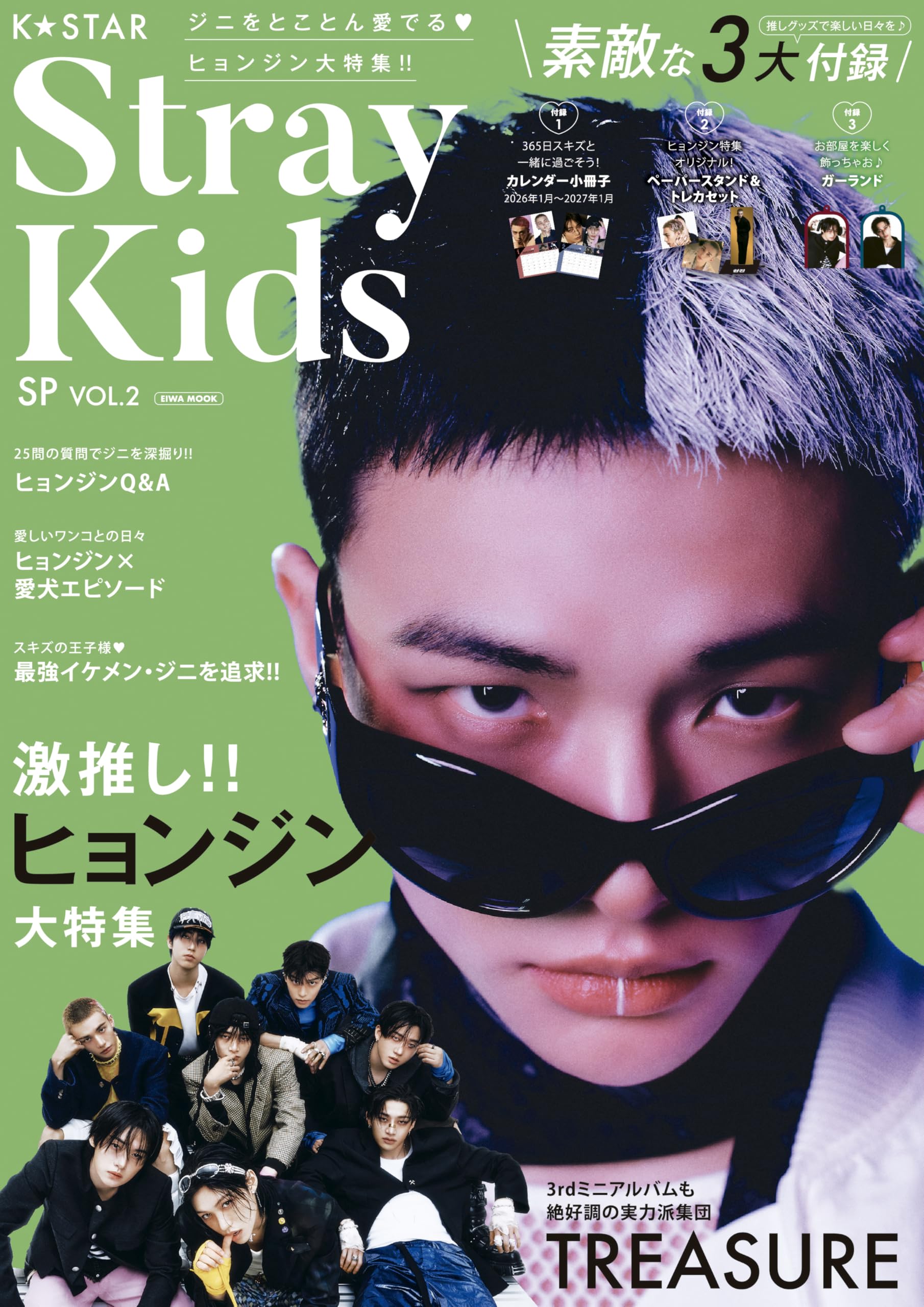 StrayKidsSP KSTAR Vol.2 (ЭИВА МУК)