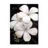 Luxury Plants White Flowers Wall Art Painting Picture Golden Art Canvas Poster Prints Nordic Flowers Art for Living Room Decor