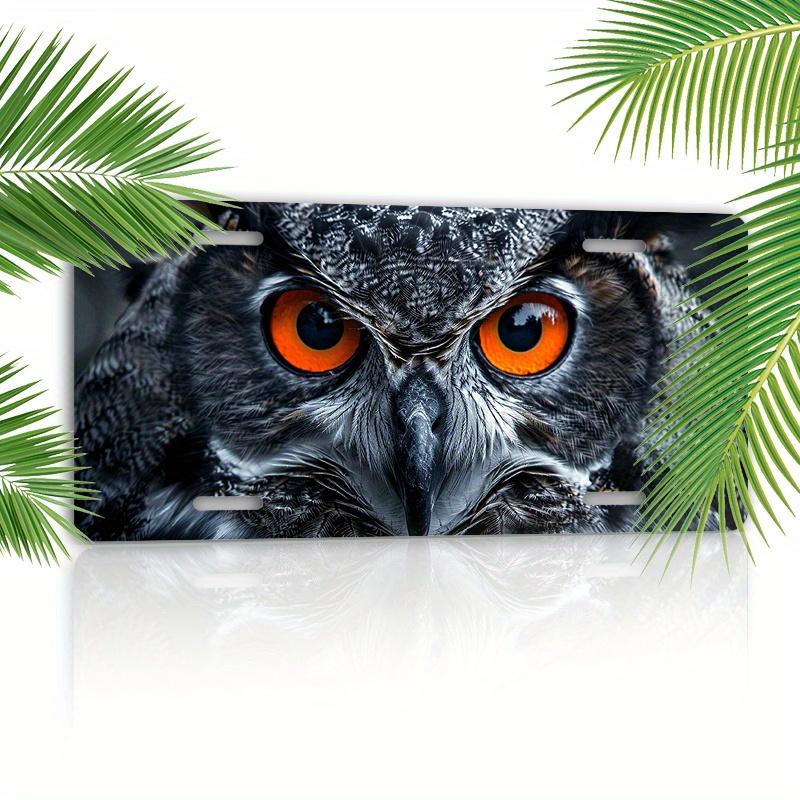 D Flat pc D Flat Posters pc Crows Eye Car License Plate Cover pc Aluminum Car License Plate Cover Crows Eye Design D 15x30cm(5.9x7.8inch)