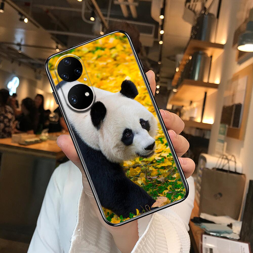Super roztomilé pouzdro na telefon Panda pro Huawei p50 P40 p30 P20 10 9 8 Lite E Pro Plus Black Etui Coque Painting Hoesjes comic fas